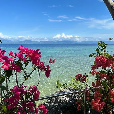 Nature Seaview
